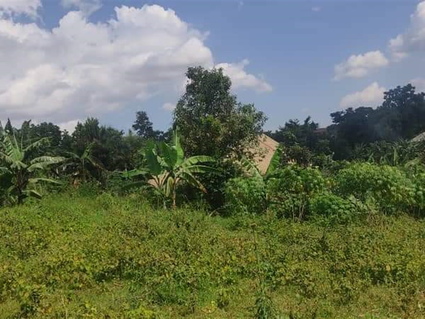 Residential Land for sale in Namugongo Wakiso