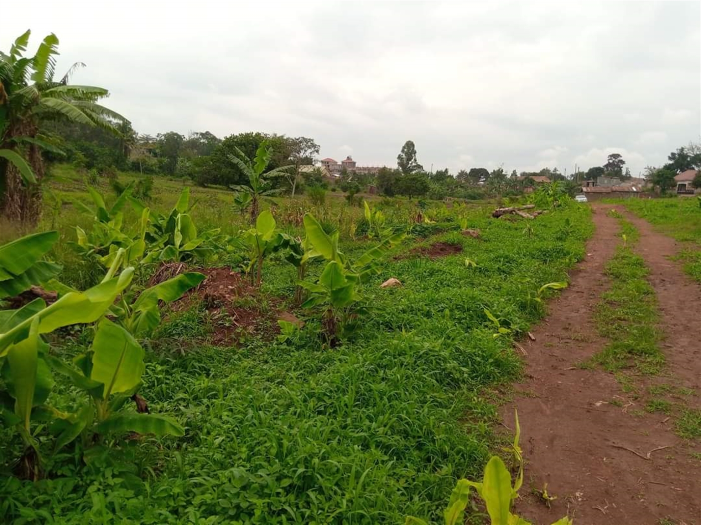 Residential Land for sale in Namugongo Wakiso