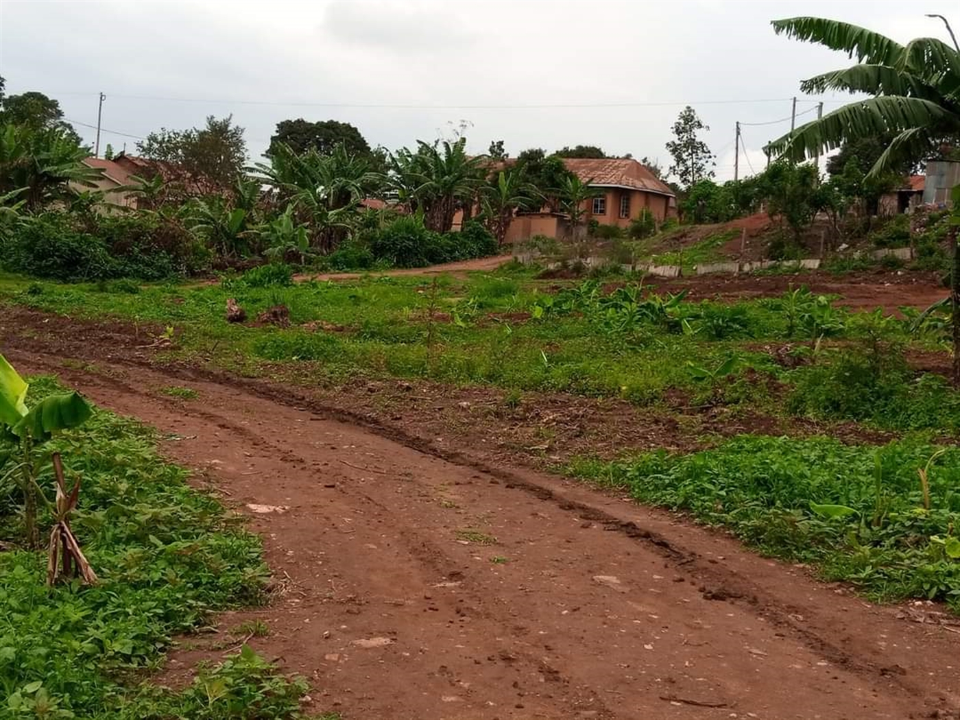 Residential Land for sale in Namugongo Wakiso