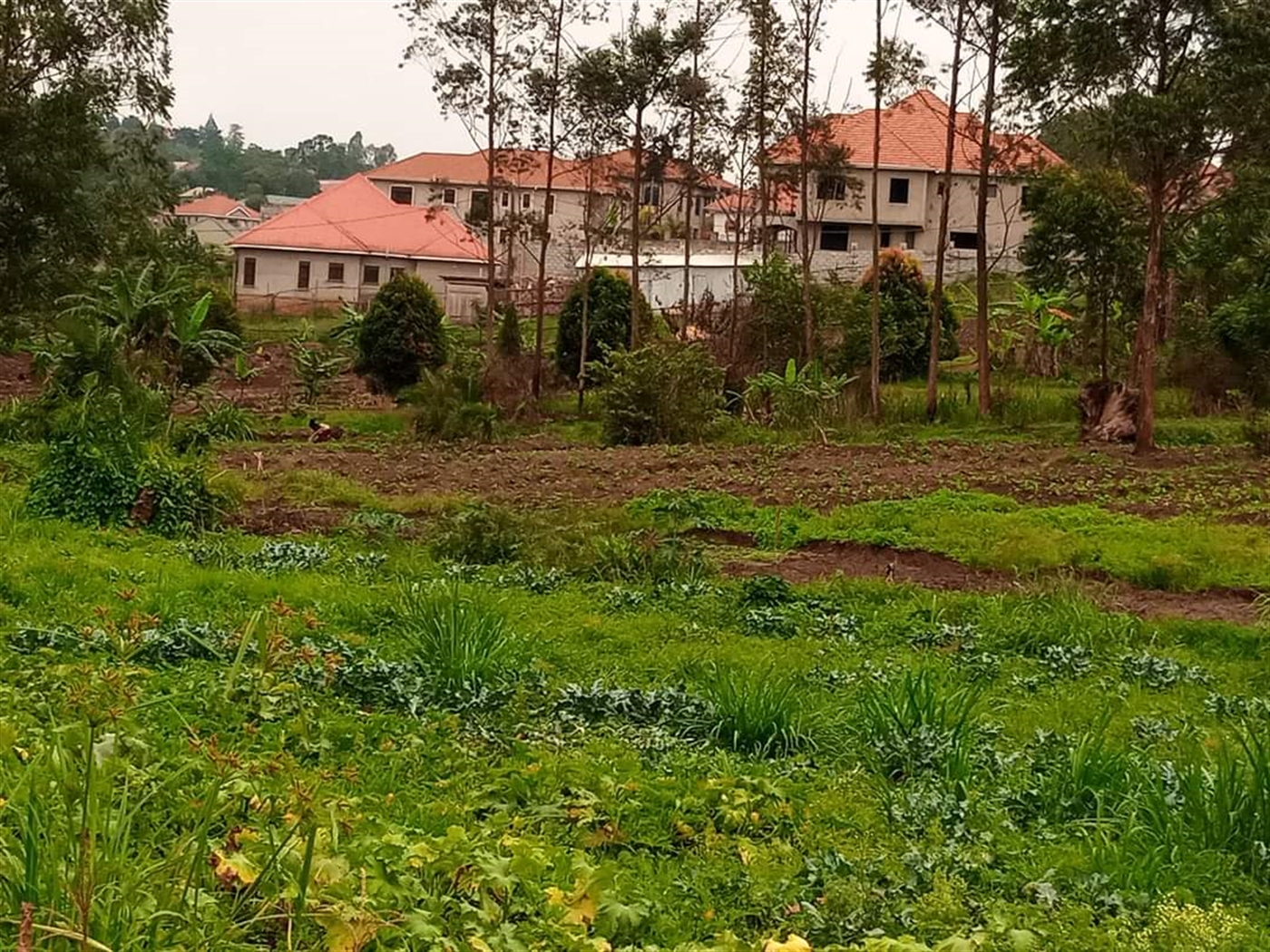 Residential Land for sale in Namugongo Wakiso