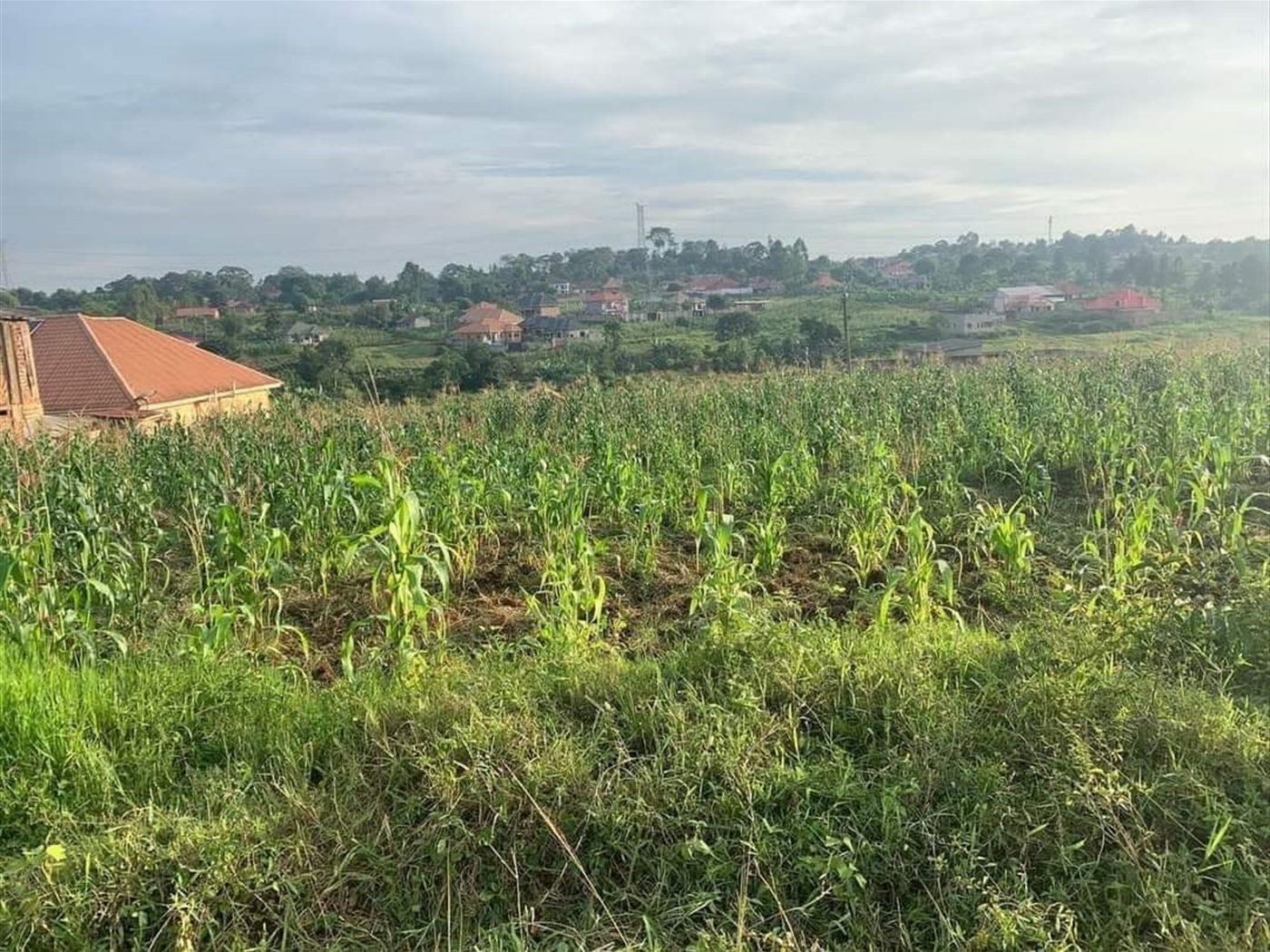 Residential Land for sale in Namugongo Wakiso