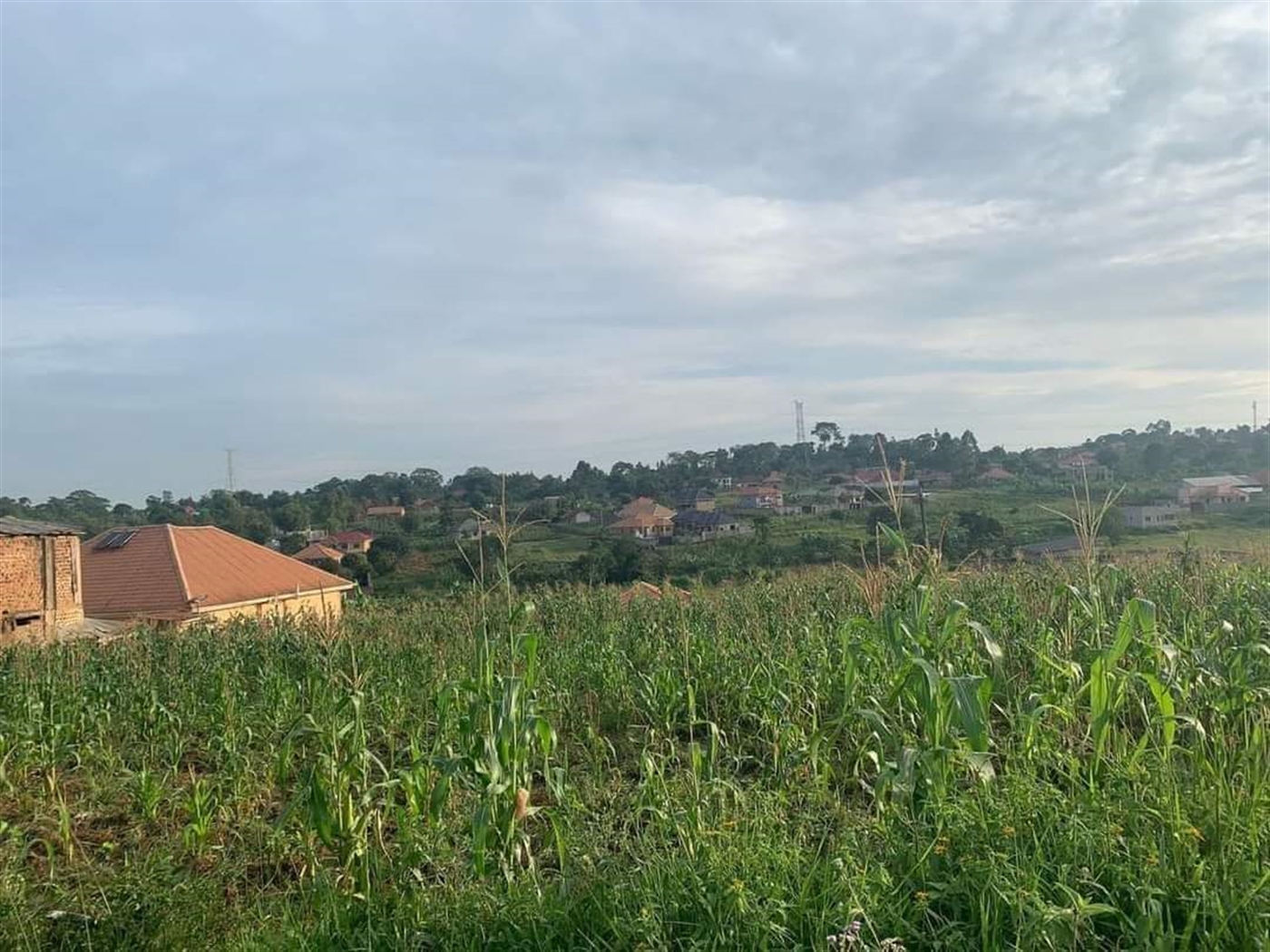 Residential Land for sale in Namugongo Wakiso