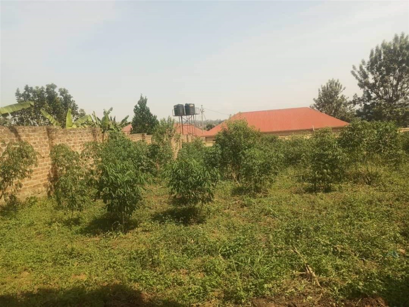 Residential Land for sale in Matugga Wakiso