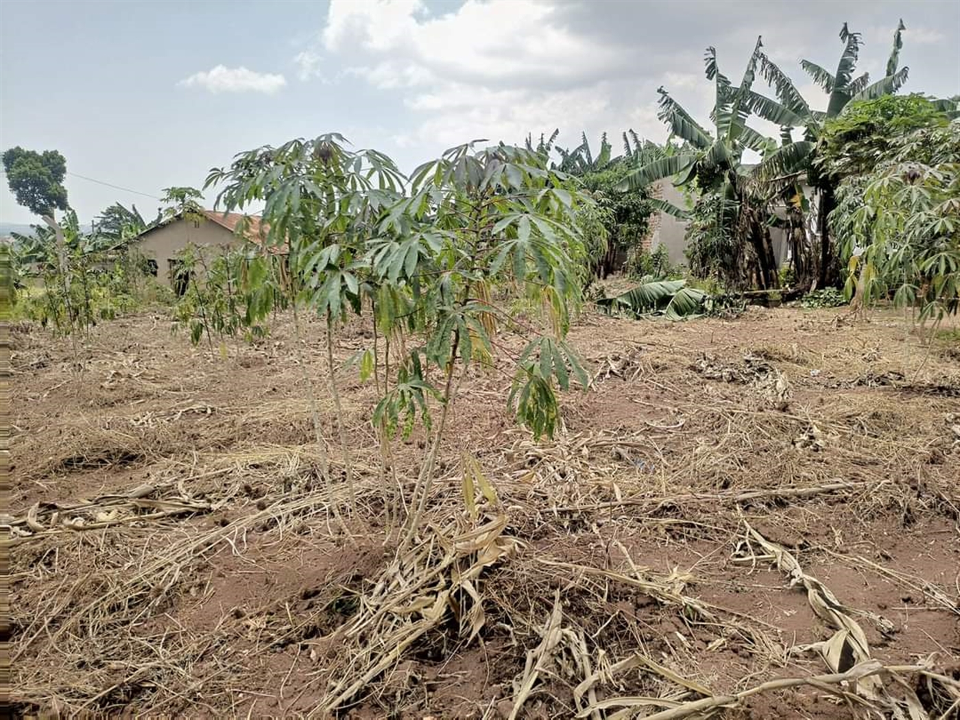 Residential Land for sale in Kira Wakiso