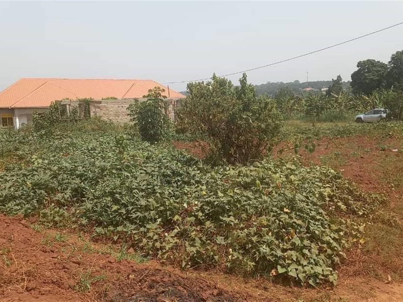 Residential Land for sale in Kasangati Wakiso