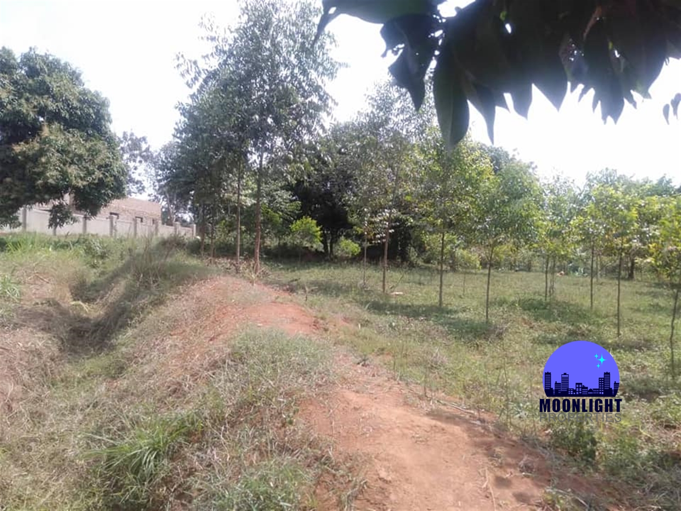 Residential Land for sale in Bwebajja Wakiso