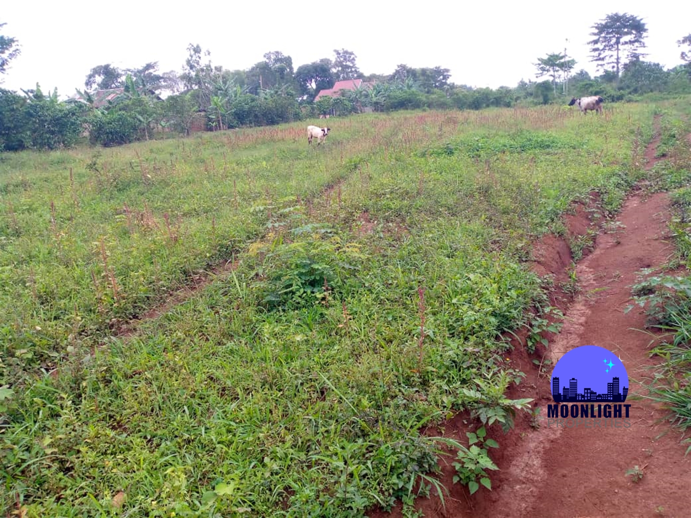 Residential Land for sale in Gayaza Wakiso