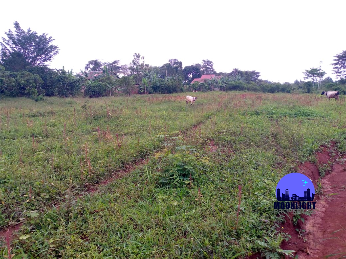 Residential Land for sale in Gayaza Wakiso