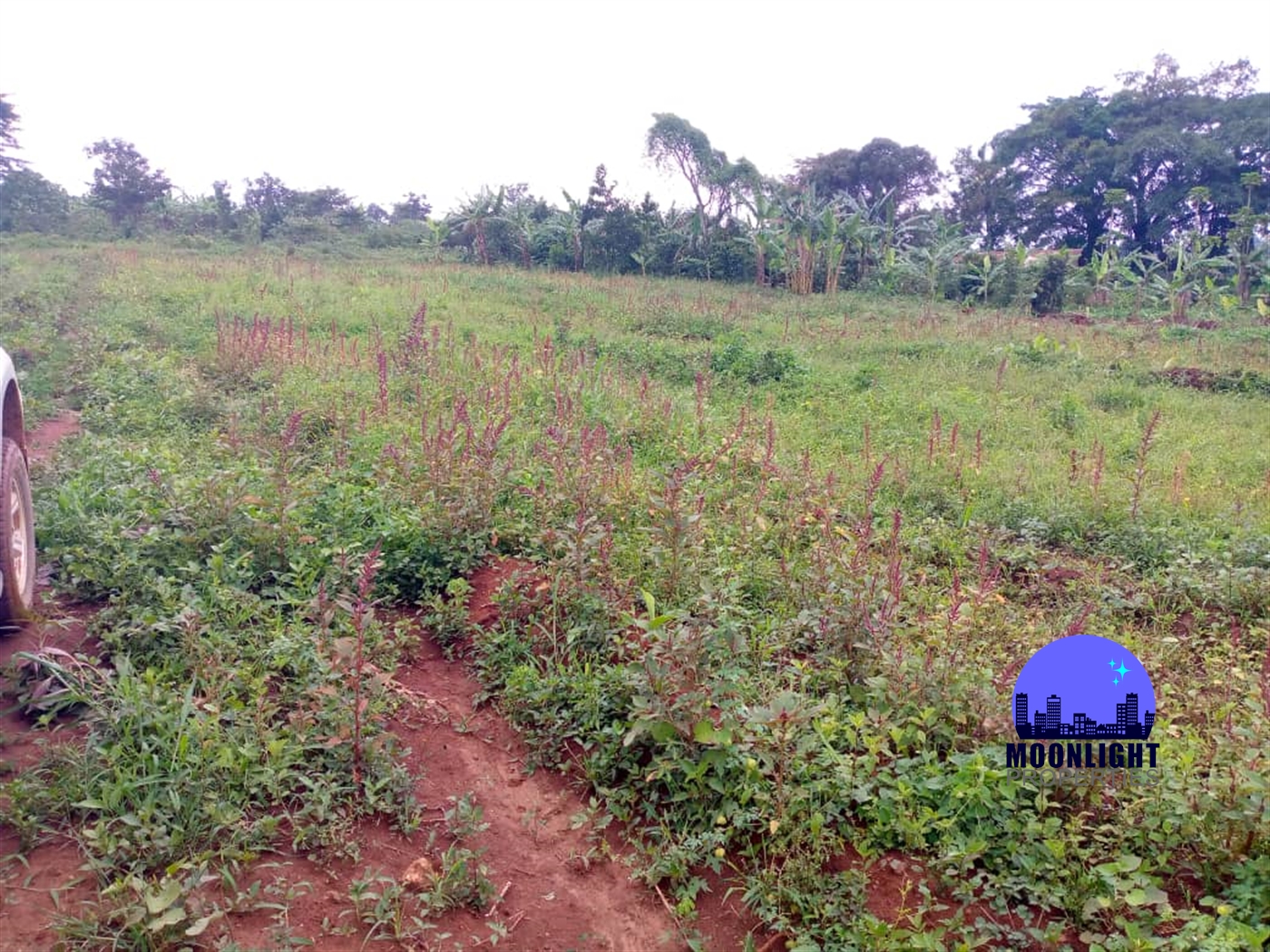 Residential Land for sale in Gayaza Wakiso