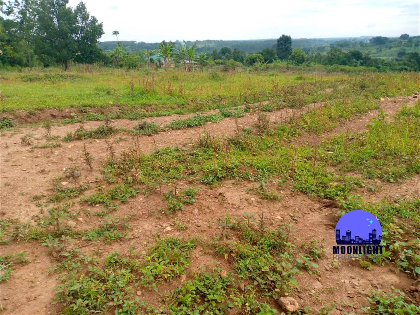 Residential Land for sale in Gayaza Wakiso