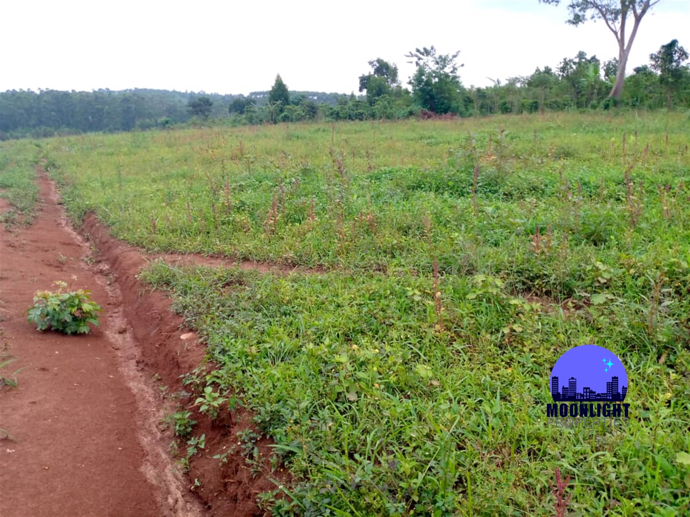 Residential Land for sale in Gayaza Wakiso