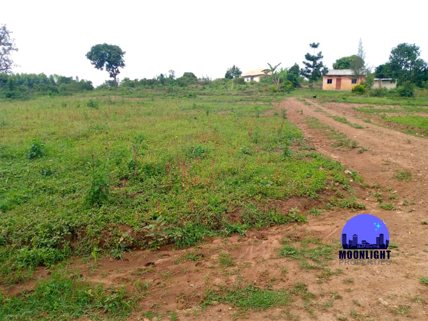 Residential Land for sale in Gayaza Wakiso