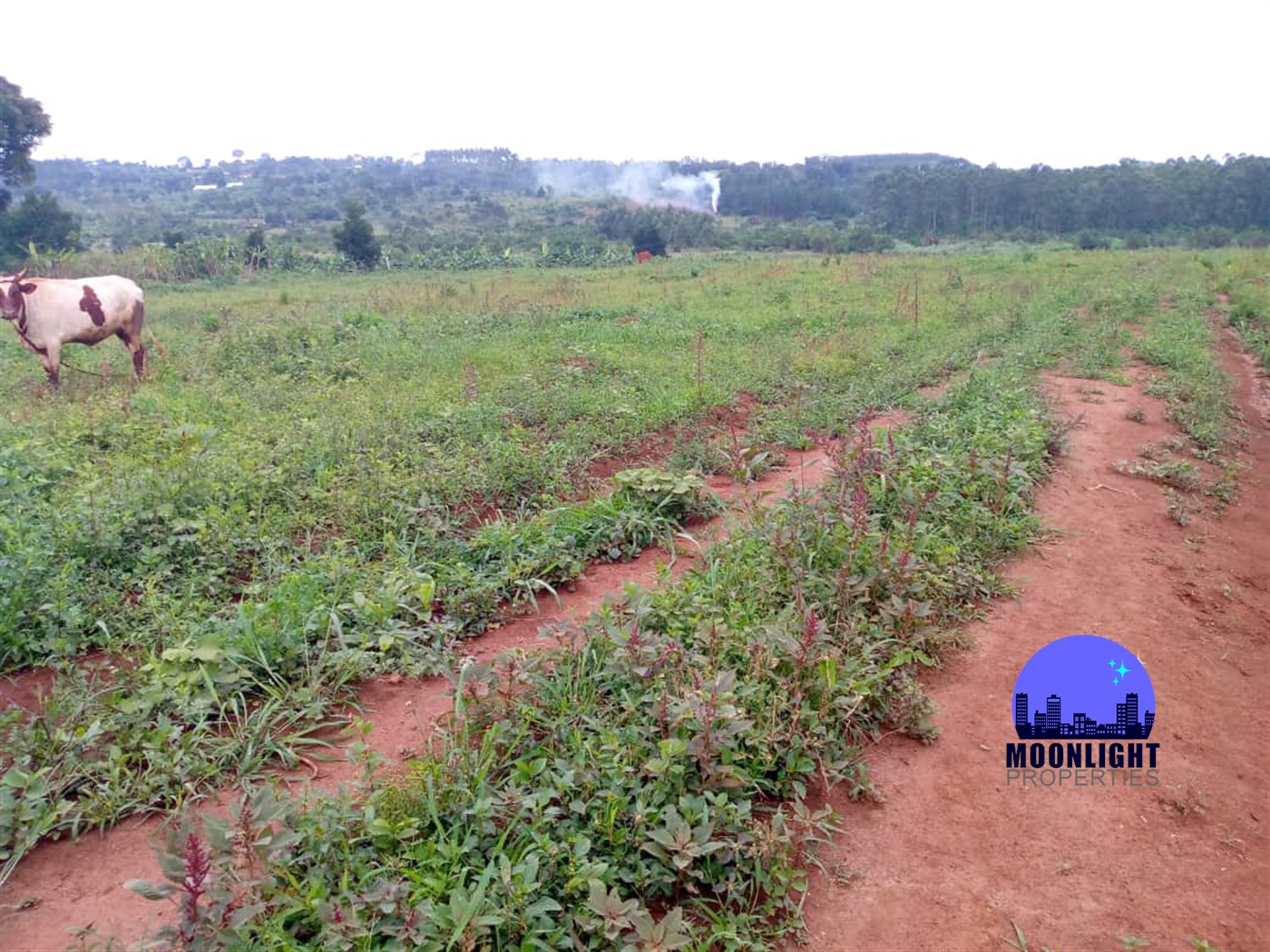 Residential Land for sale in Gayaza Wakiso