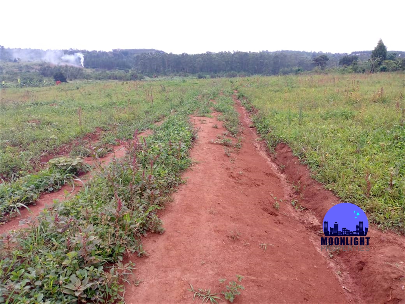 Residential Land for sale in Gayaza Wakiso