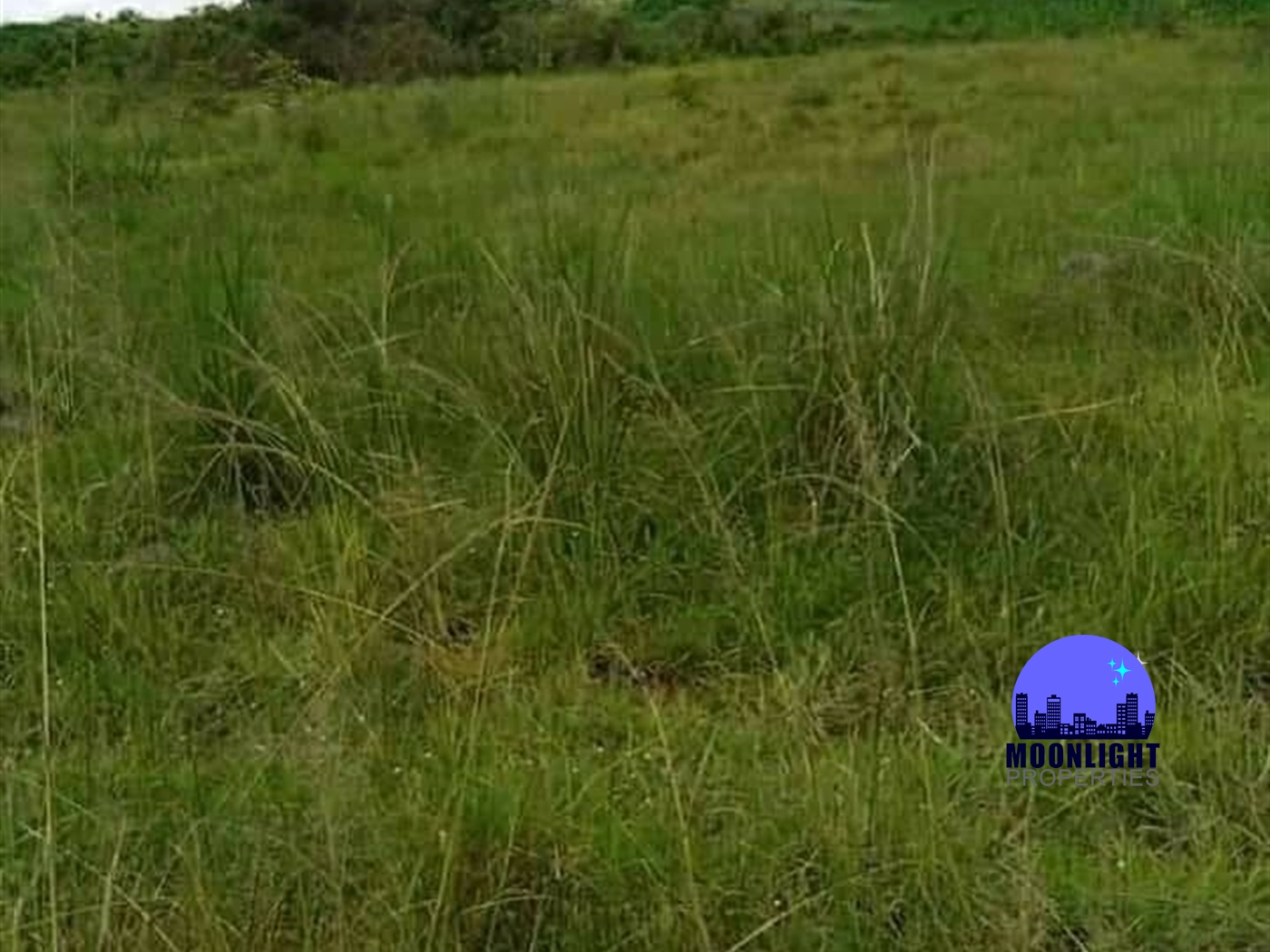 Agricultural Land for sale in Kabunyata Luweero