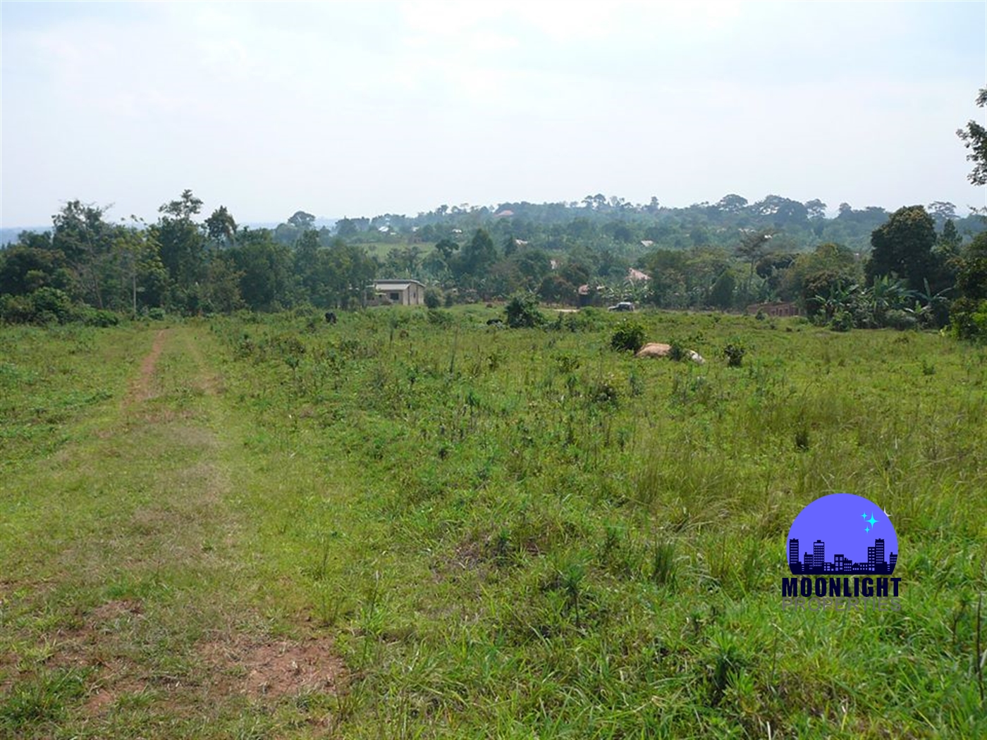 Residential Land for sale in Nakassajja Wakiso