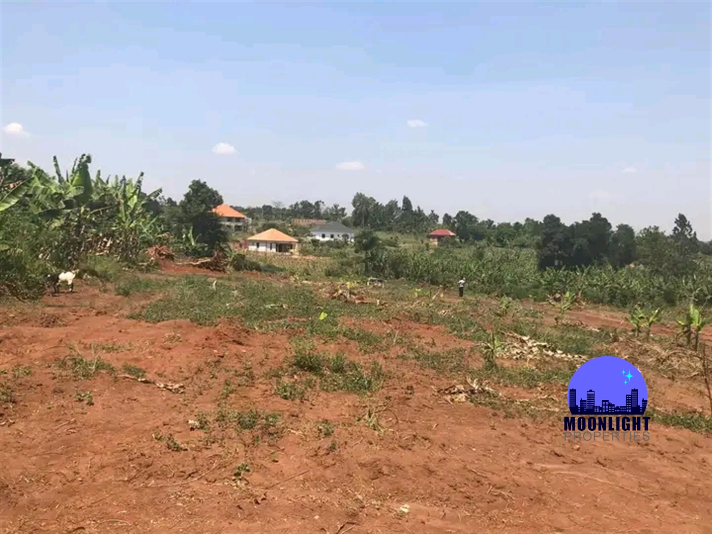 Residential Land for sale in Kiwenda Wakiso