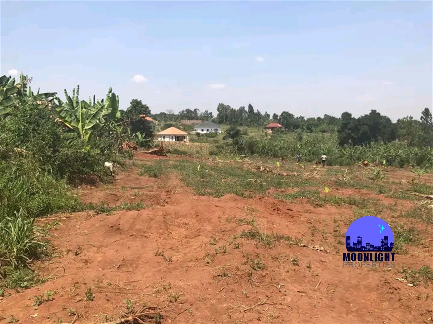 Residential Land for sale in Kiwenda Wakiso