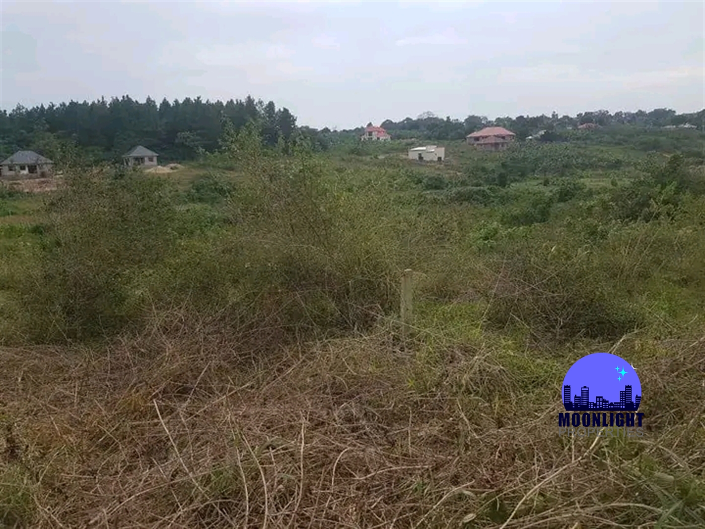 Residential Land for sale in Busukuma Wakiso