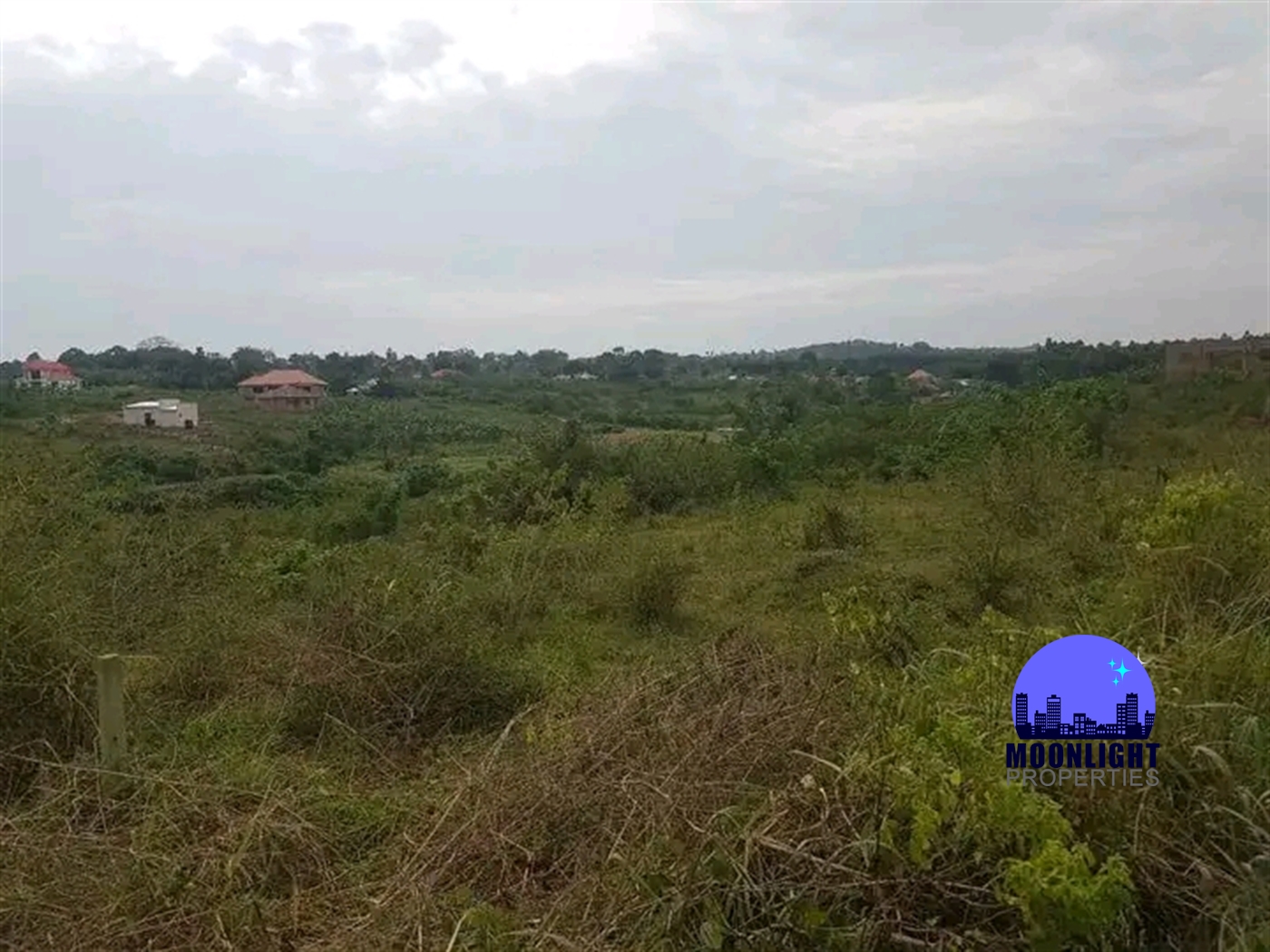 Residential Land for sale in Busukuma Wakiso