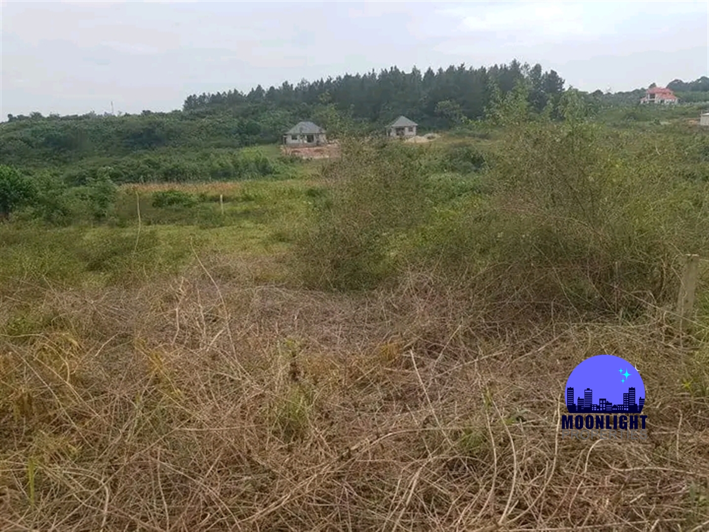 Residential Land for sale in Busukuma Wakiso