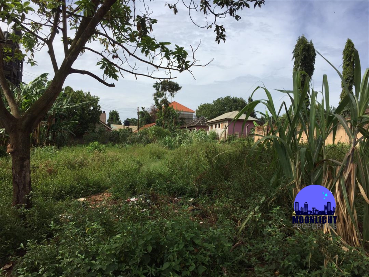 Residential Land for sale in Bukoto Kampala