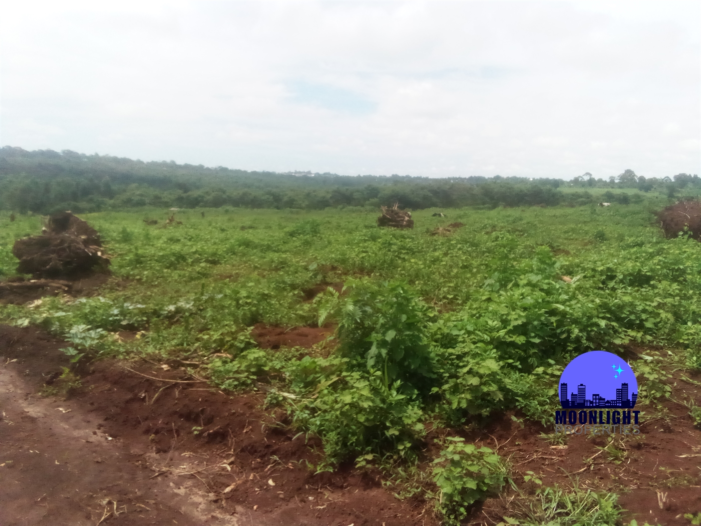 Residential Land for sale in Ddundu Wakiso