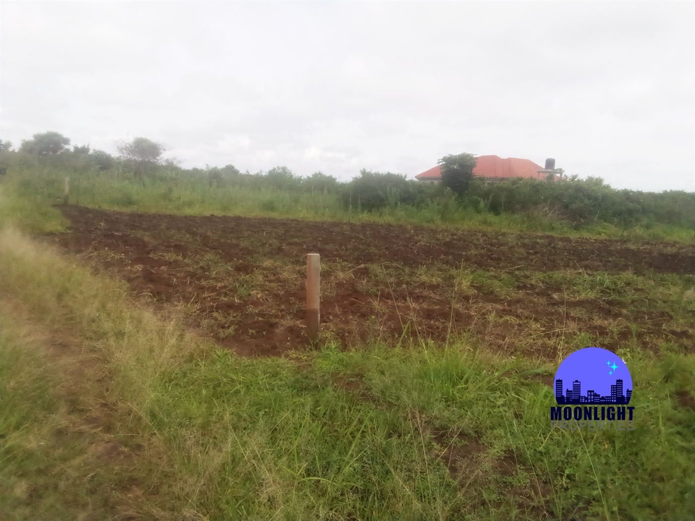 Residential Land for sale in Ddundu Wakiso