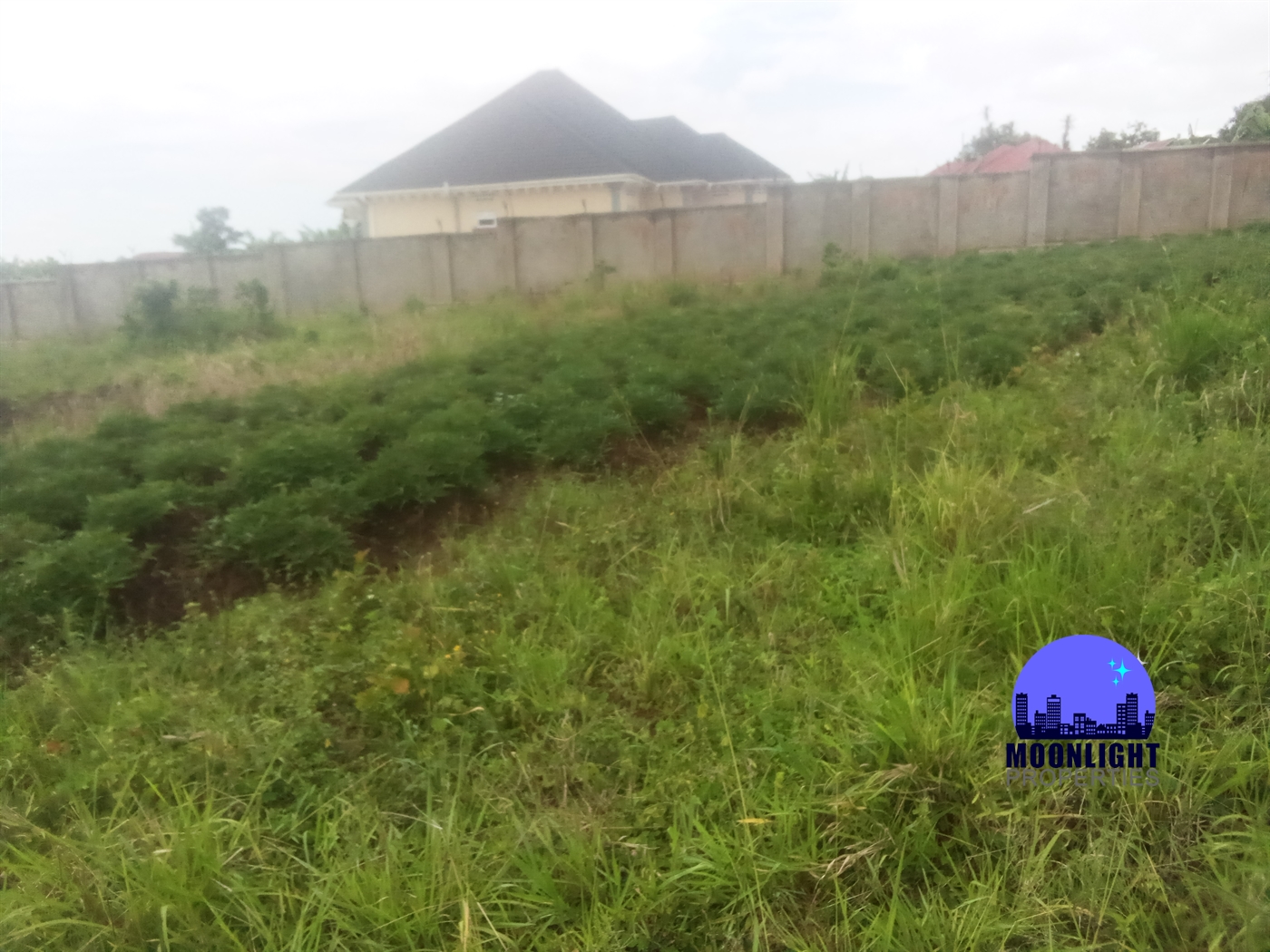 Residential Land for sale in Ddundu Wakiso