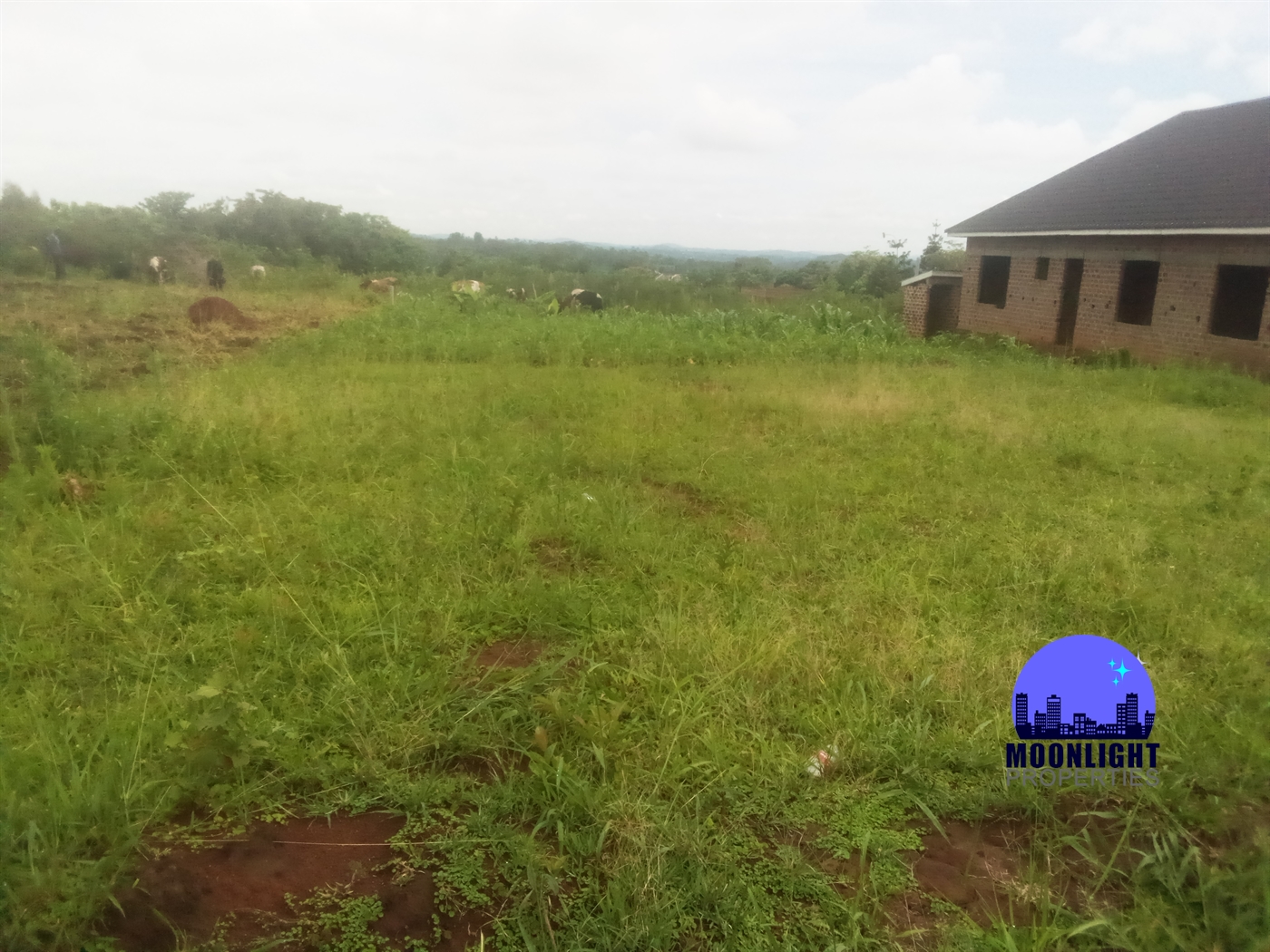 Residential Land for sale in Ddundu Wakiso