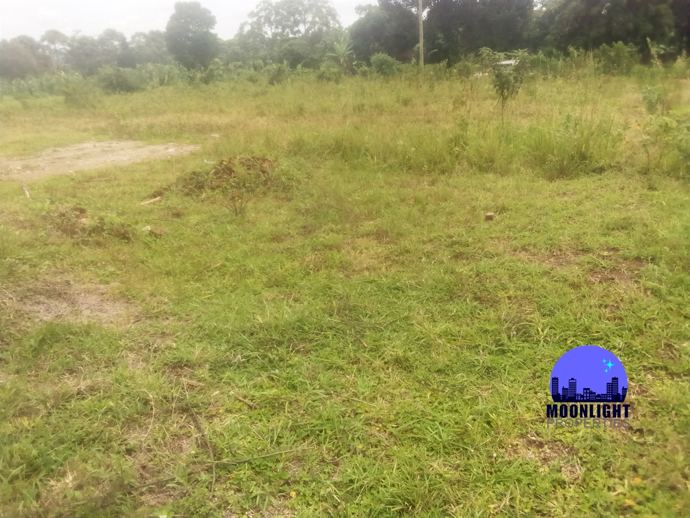 Residential Land for sale in Ddundu Wakiso