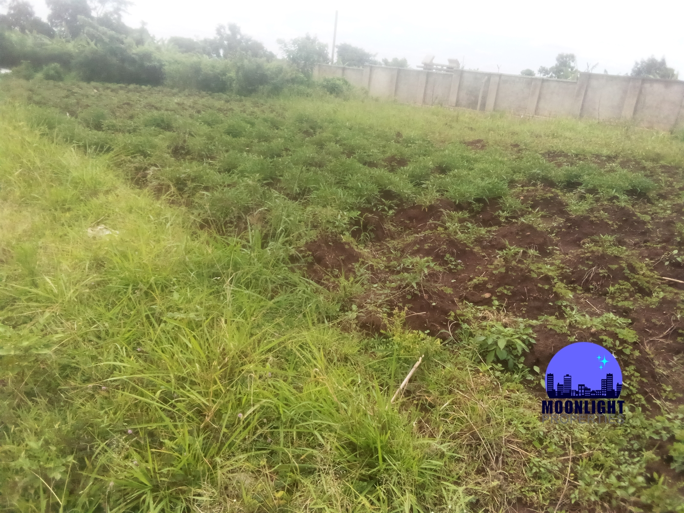 Residential Land for sale in Ddundu Wakiso