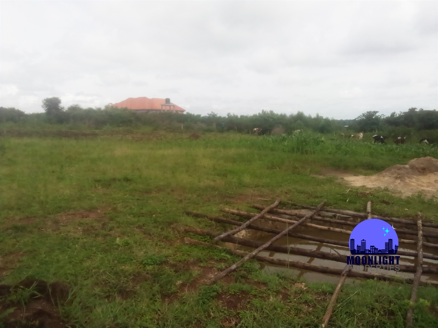 Residential Land for sale in Ddundu Wakiso