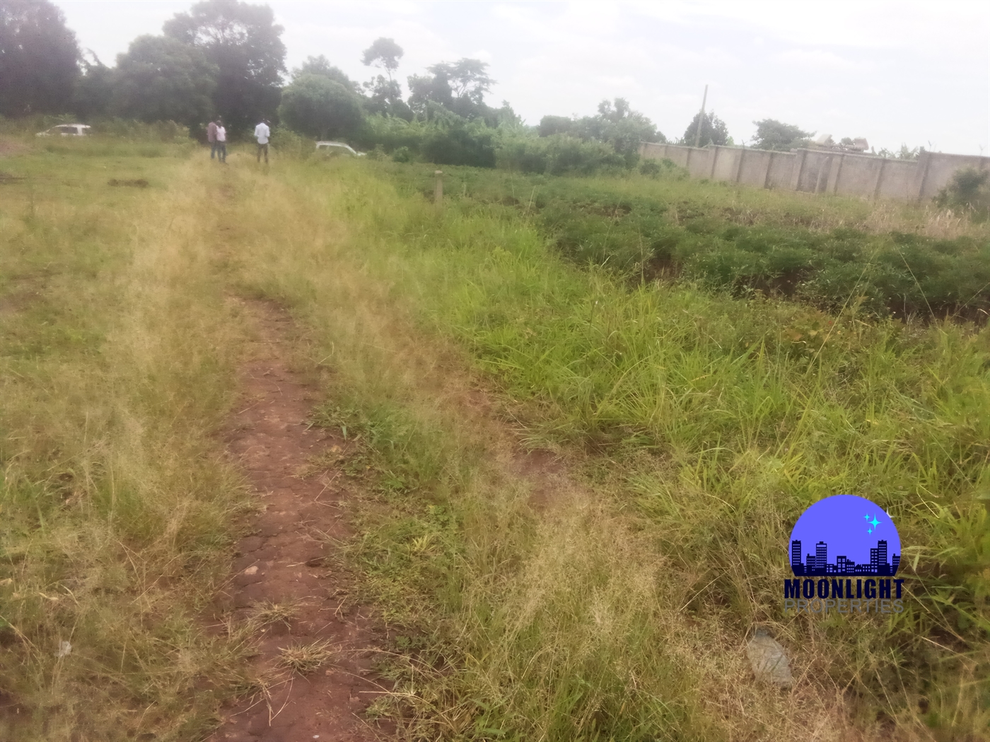 Residential Land for sale in Ddundu Wakiso