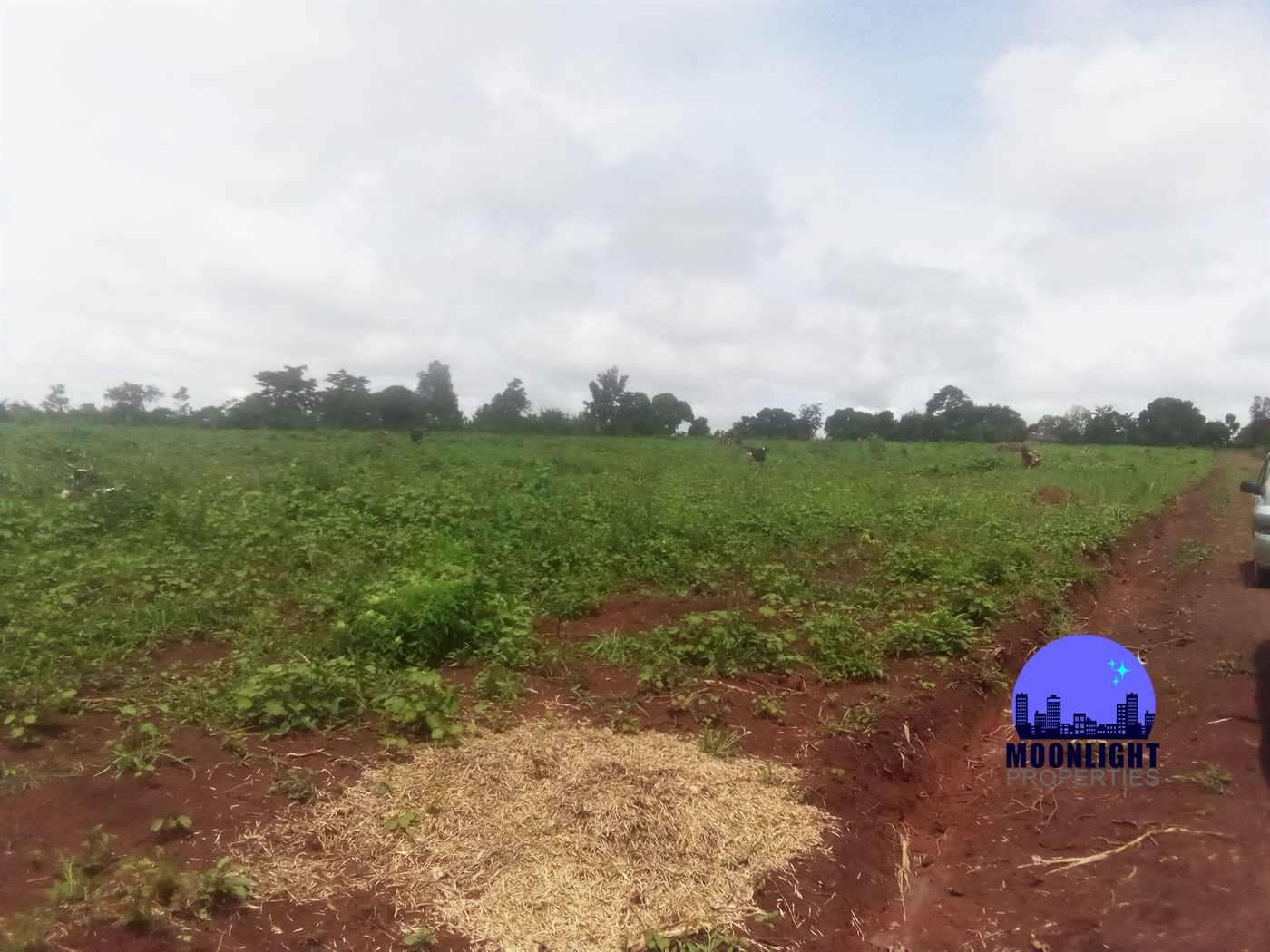 Residential Land for sale in Ddundu Wakiso