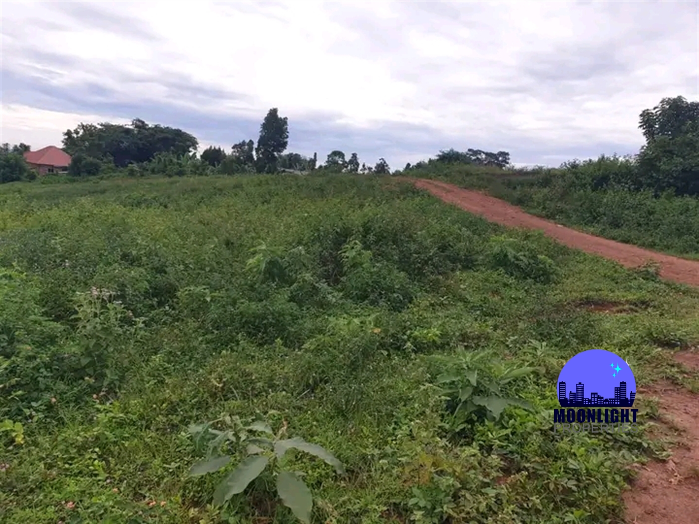 Residential Land for sale in Busukuma Wakiso