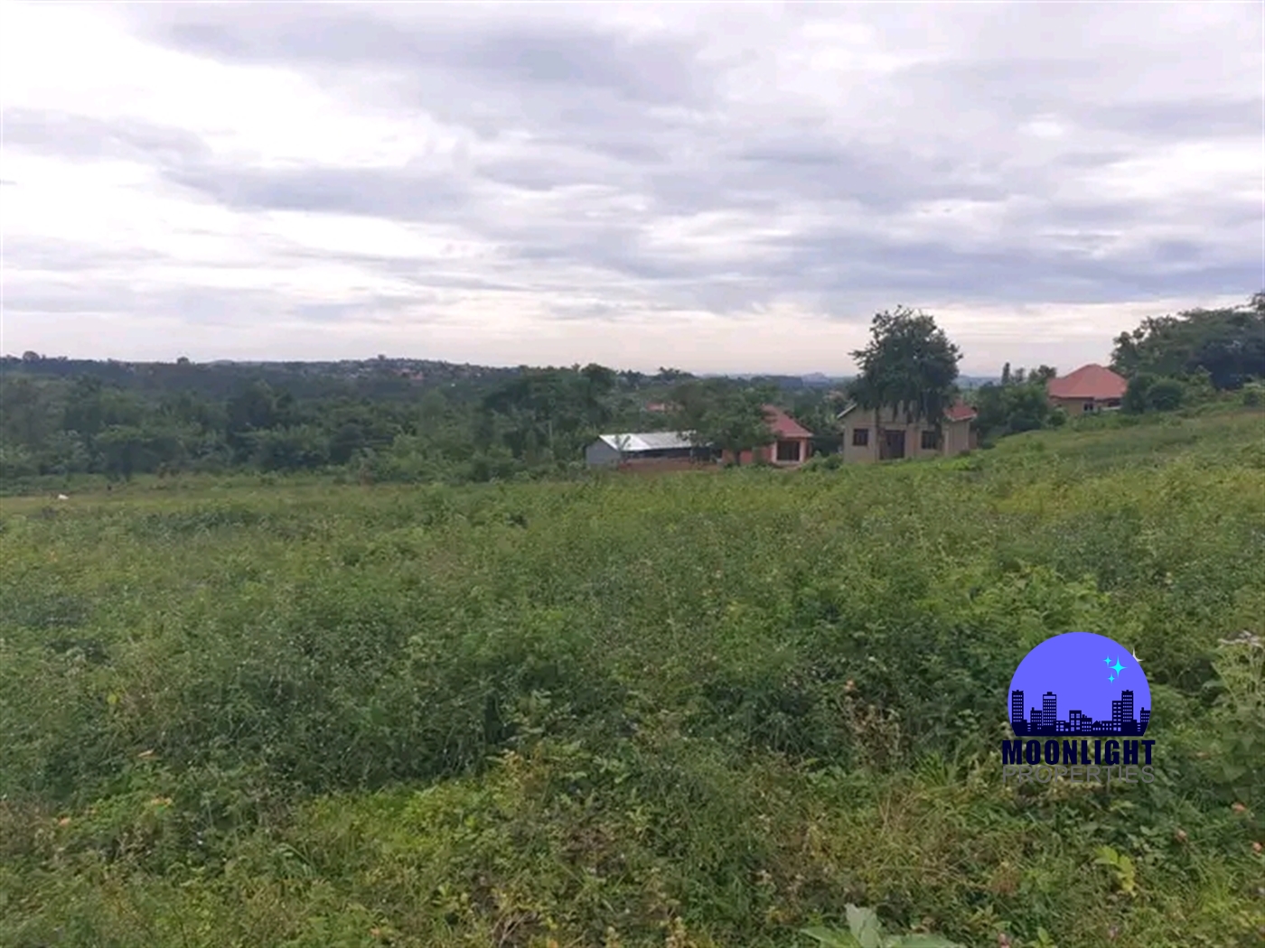 Residential Land for sale in Busukuma Wakiso