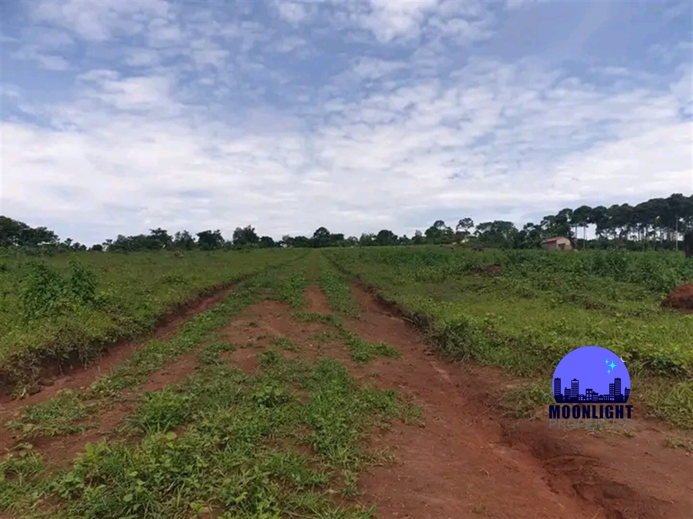 Residential Land for sale in Nakasajja Mukono