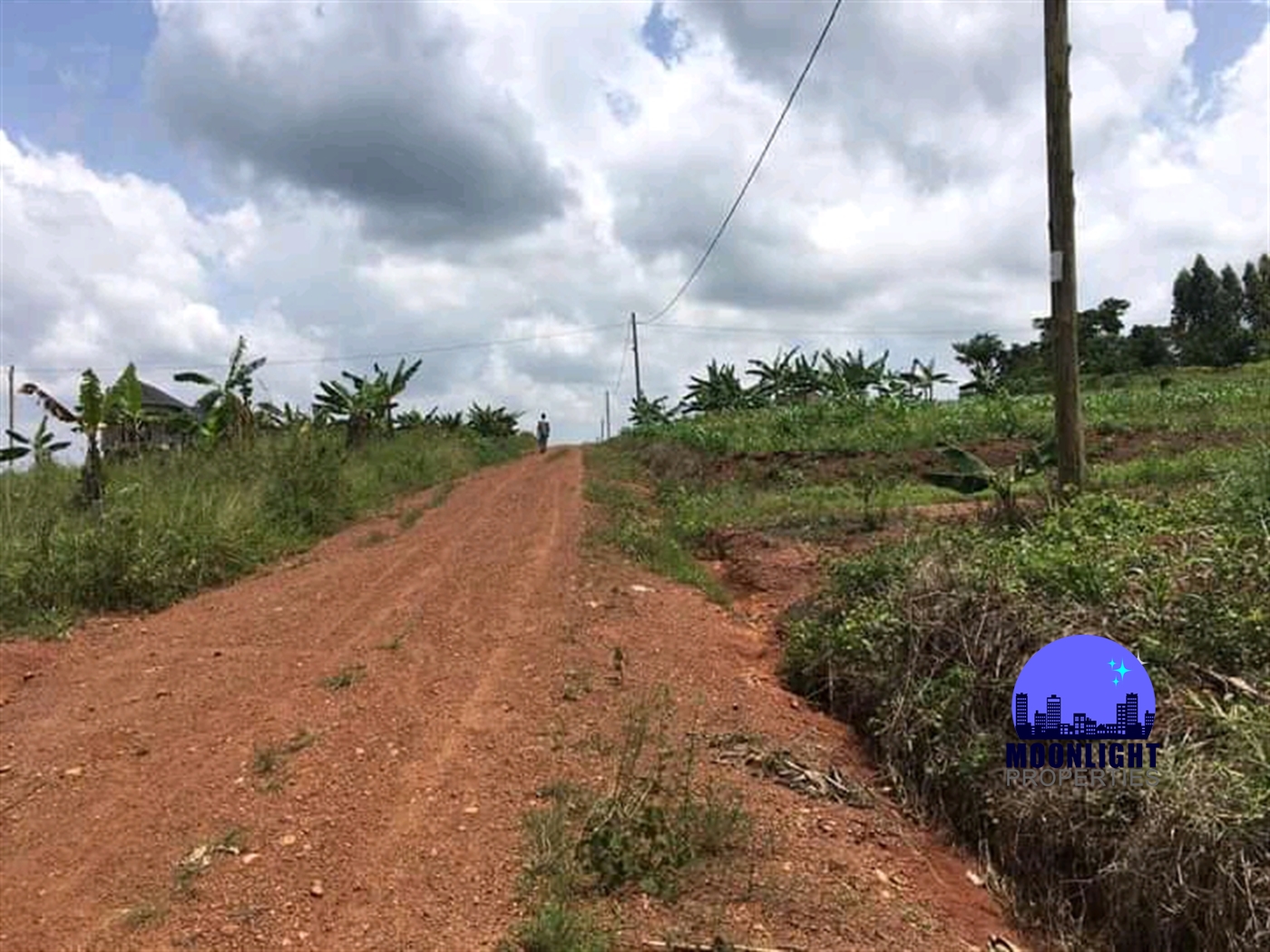 Residential Land for sale in Busukuma Wakiso