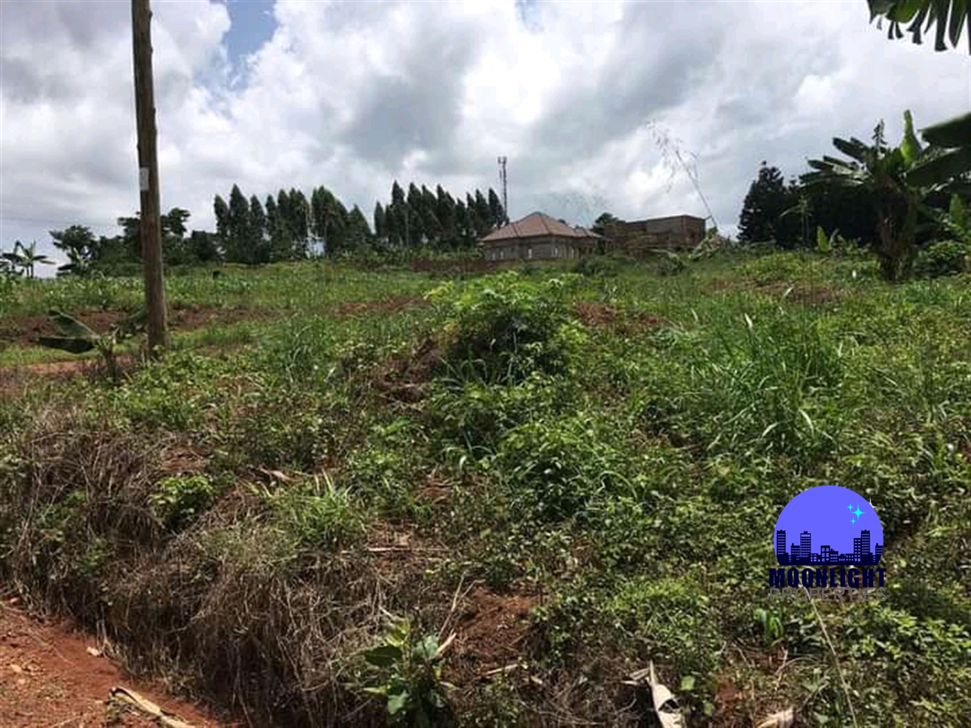 Residential Land for sale in Busukuma Wakiso