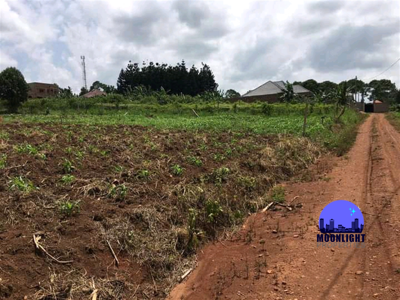 Residential Land for sale in Busukuma Wakiso