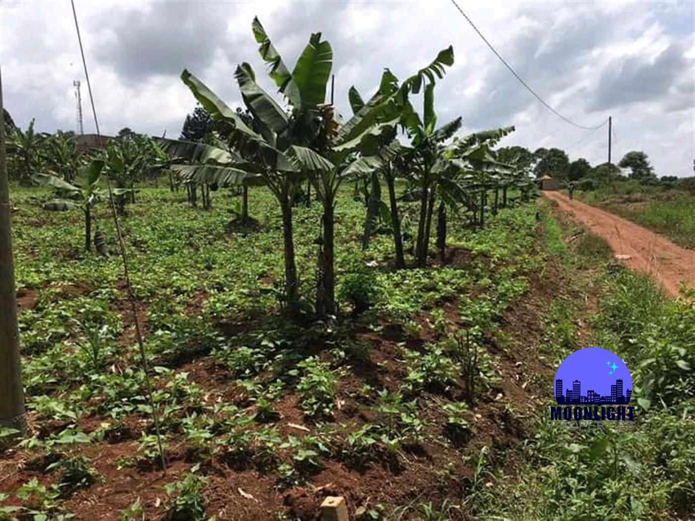 Residential Land for sale in Busukuma Wakiso