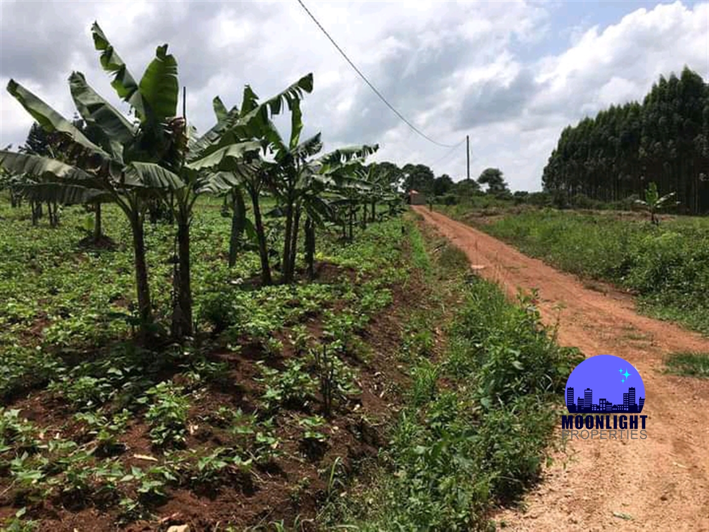 Residential Land for sale in Busukuma Wakiso