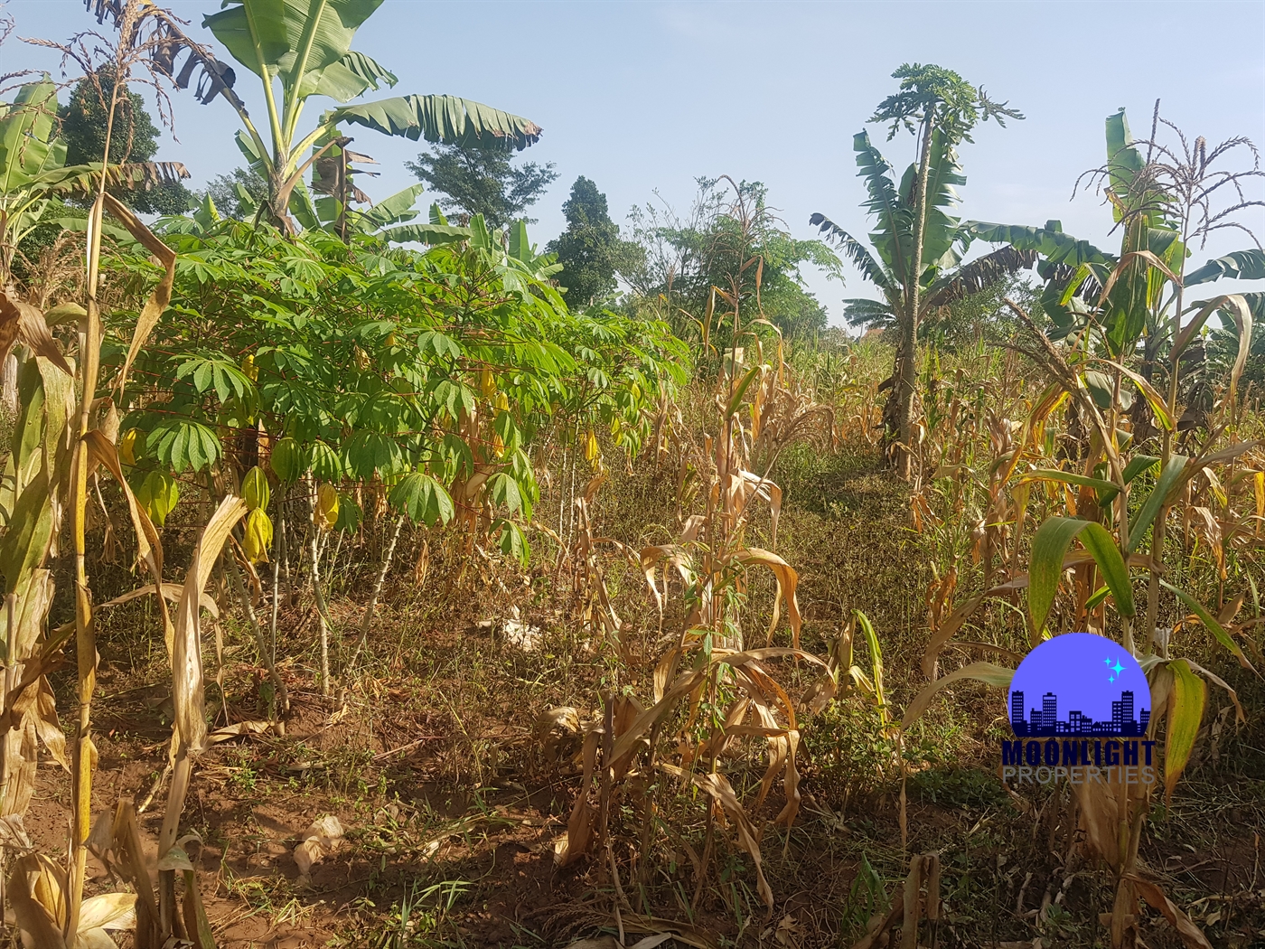 Residential Land for sale in Kitukutwe Wakiso