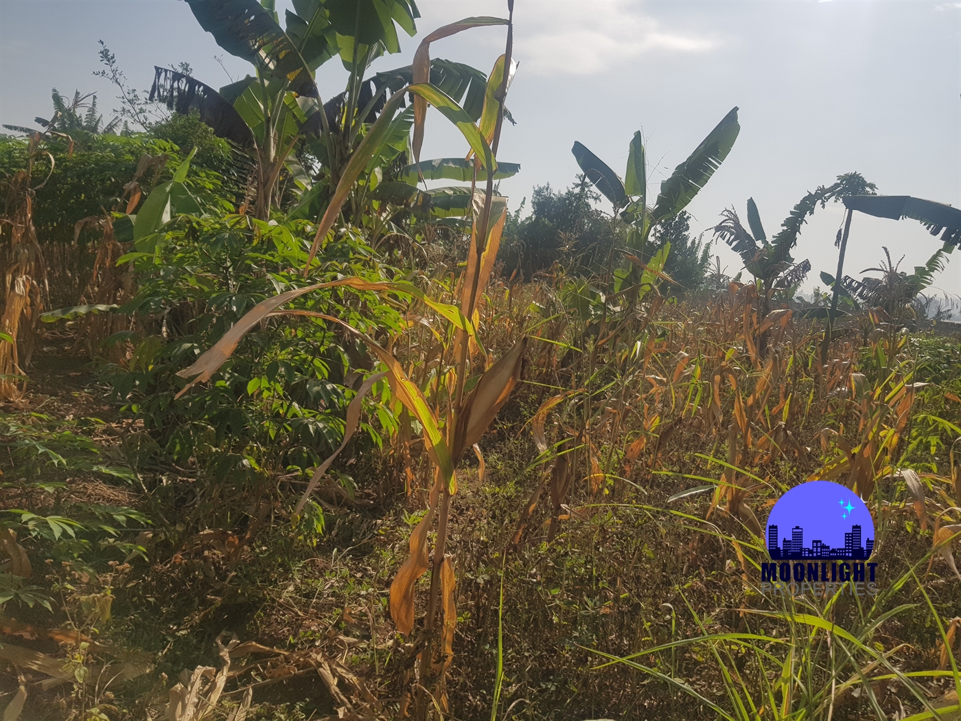 Residential Land for sale in Kitukutwe Wakiso