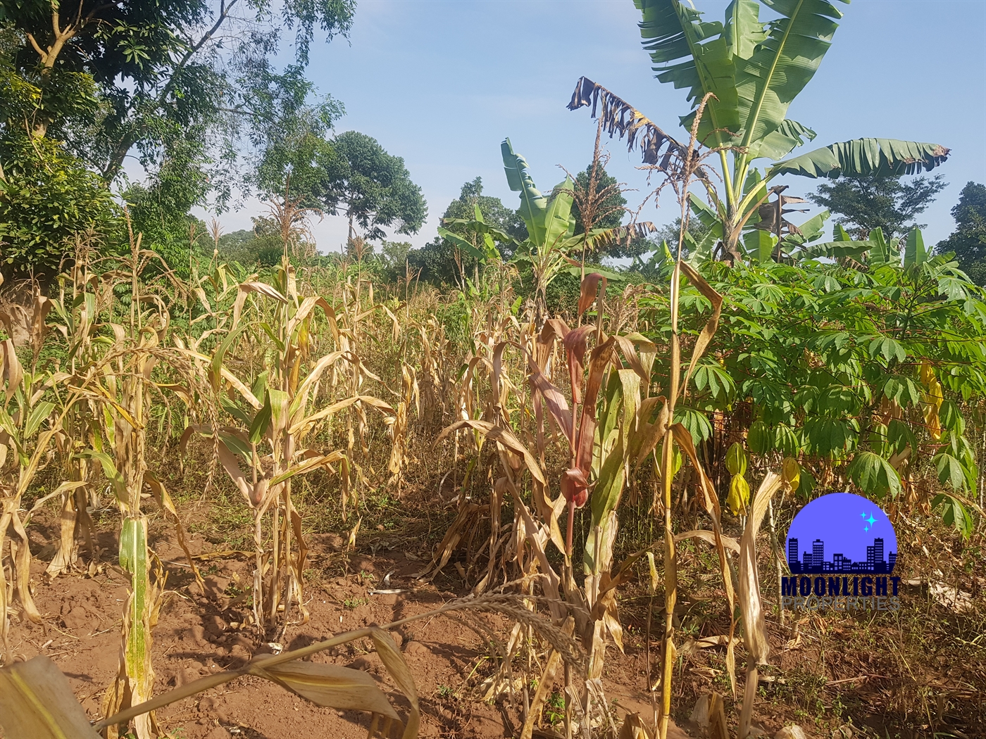 Residential Land for sale in Kitukutwe Wakiso