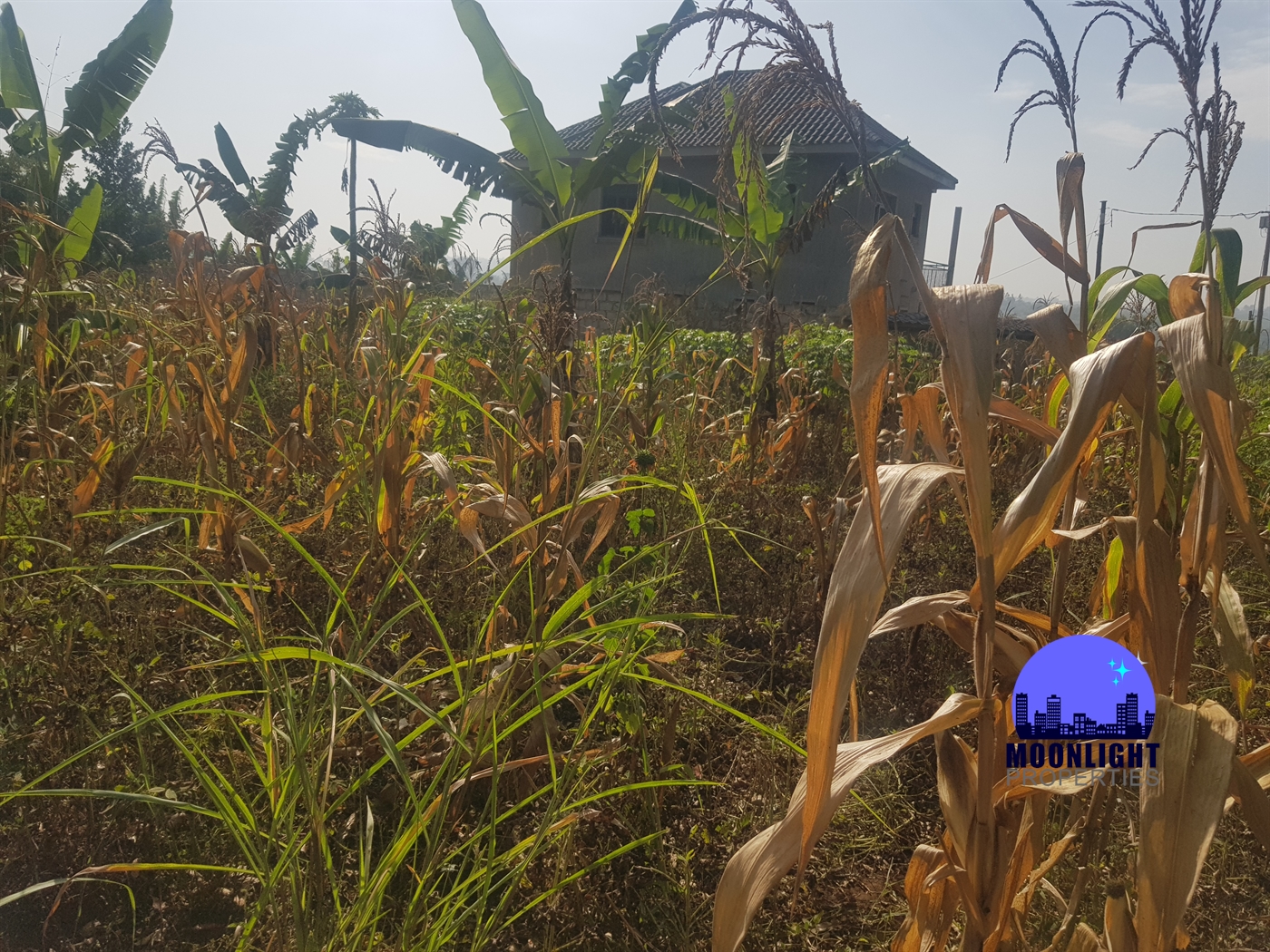 Residential Land for sale in Kitukutwe Wakiso