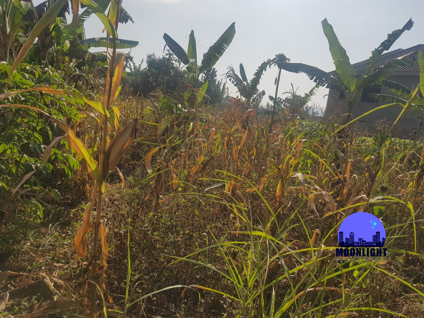 Residential Land for sale in Kitukutwe Wakiso