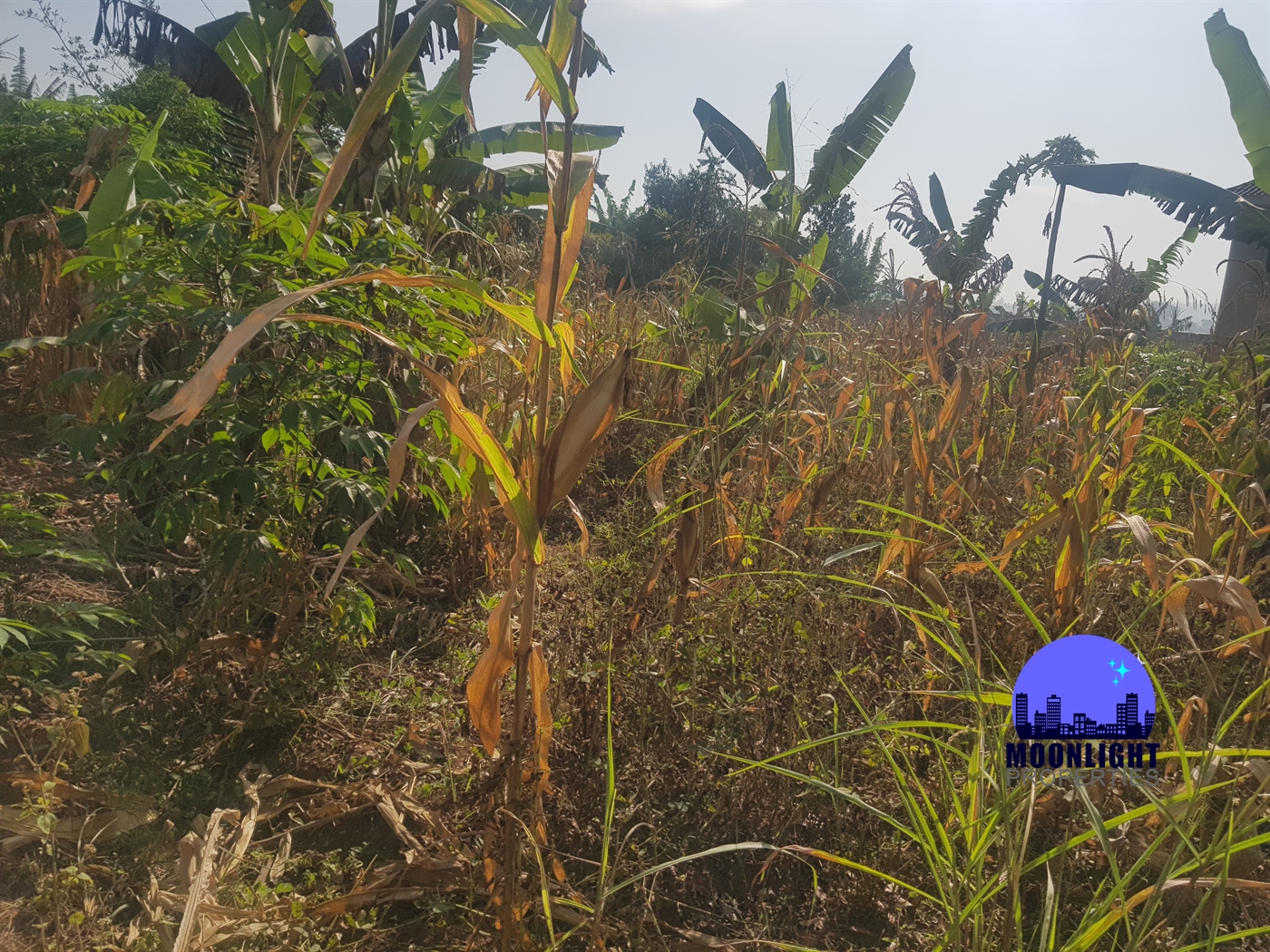 Residential Land for sale in Kitukutwe Wakiso