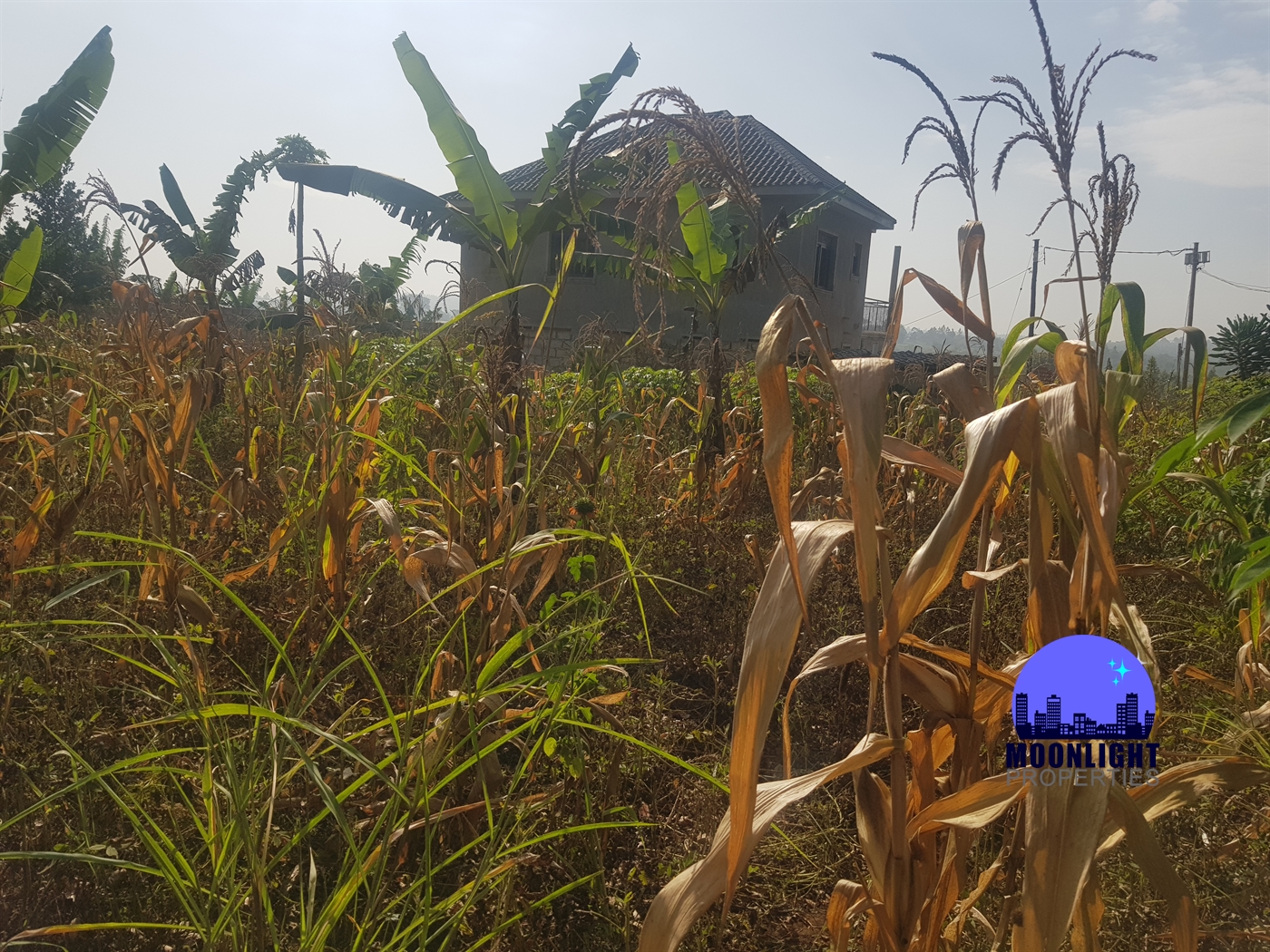 Residential Land for sale in Kitukutwe Wakiso